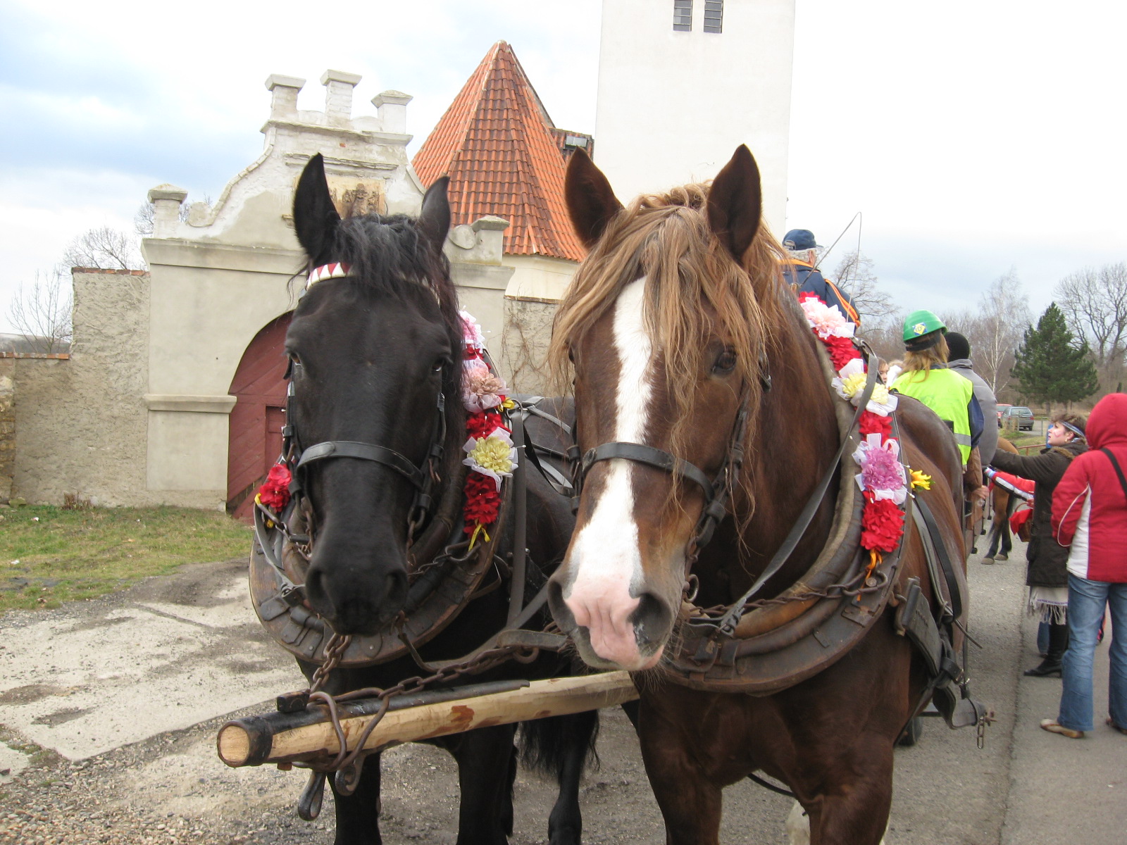Laky a Bubík